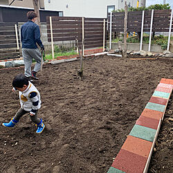 庭 土壌改良 天然芝/DIY/ガーデニング/玄関/入り口のインテリア実例 - 2019-05-03 20:35:05