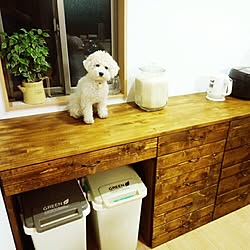 キッチン/キッチン棚DIY/主人のDIY☆/DIY/キッチン収納...などのインテリア実例 - 2017-05-12 19:23:50