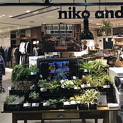 バス/トイレ/paseo店/niko and…　/家ではありません/一人暮らし...などのインテリア実例 - 2016-04-08 10:48:40