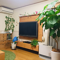 RCの出会いに感謝♡/壁掛けテレビボードDIY/北欧インテリア/北欧ナチュラル/みどりのある暮らし...などのインテリア実例 - 2019-11-15 12:13:35