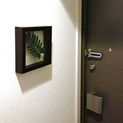 玄関/入り口/植物のインテリア実例 - 2013-10-23 15:26:07