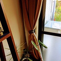 リビング/観葉植物のインテリア実例 - 2017-05-23 02:23:50