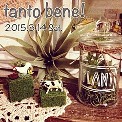 部屋全体/お知らせ♡/宣伝失礼します(>_<)/tanto bene!/tkmsちゃん♡...などのインテリア実例 - 2015-02-20 08:07:14