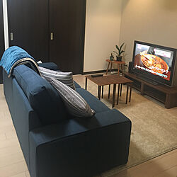 IKEA/観葉植物/ニトリ/リビング/noceテレビ台のインテリア実例 - 2021-02-08 01:05:23