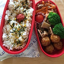 キッチン/おべんとう/おはようございます☺︎のインテリア実例 - 2016-07-14 09:32:41