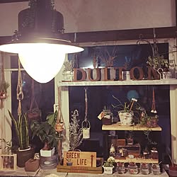 部屋全体/エアープランツ/プランツハンガーdiy/錆びターンバックル/ダイソーでDULTON...などのインテリア実例 - 2017-05-15 20:52:52