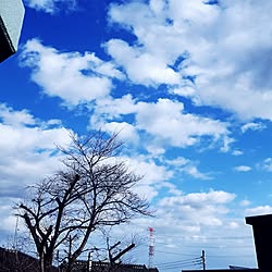 壁/天井/さっきまで雨だったのに/美し過ぎる澄みきった空/午後１時45分/自宅のベランダからパチリ...などのインテリア実例 - 2016-12-14 13:45:51