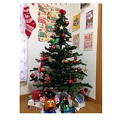 リビング/クリスマス/ツリーのインテリア実例 - 2014-12-21 00:20:01