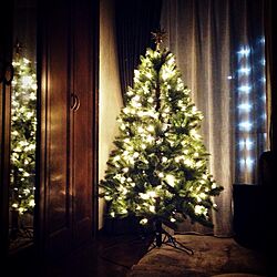 部屋全体/クリスマス/コストコ/クリスマスツリーのインテリア実例 - 2015-11-01 20:23:43