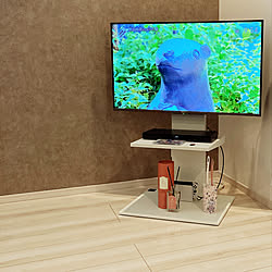 アロマディフューザー/アフタヌーンティーリビング/WALLテレビスタンド/テレビ台/RoomClipアンケート...などのインテリア実例 - 2022-10-08 10:00:00