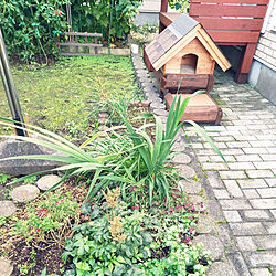 玄関/入り口/庭/DIY/猫/ペットの小屋のインテリア実例 - 2022-03-07 09:07:44