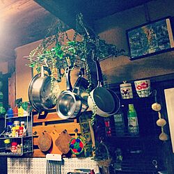 キッチン/DIY/だいそー/フェイクグリーンのインテリア実例 - 2017-04-25 23:18:26