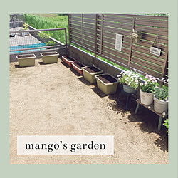 土づくり/家庭菜園/mango’s Garden✩.*˚/花のある暮らし/素敵な出会いに感謝◡̈*♡.°⑅...などのインテリア実例 - 2023-05-10 16:31:10