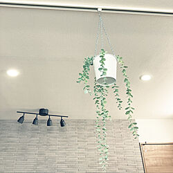 グラナスルドラ/ダウンライトLED/IKEAの間接照明/ユーカリフェイク/吊り下げ観葉植物...などのインテリア実例 - 2022-06-18 15:45:52