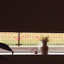 玄関/入り口/フェイクグリーン/雑貨/造花のインテリア実例 - 2016-09-30 08:41:07