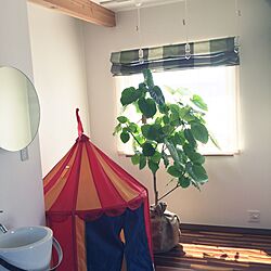 壁/天井/日当たり良好/IKEAのテント/ウンベラータのインテリア実例 - 2015-08-27 08:39:18