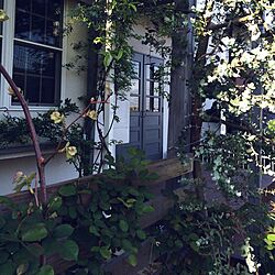 玄関/入り口/DIY/植物/上げ下げ窓/ガーデンのインテリア実例 - 2015-04-17 16:44:58