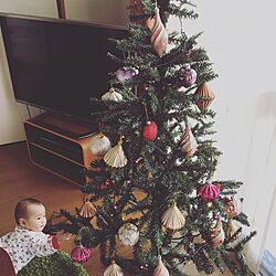 リビング/クリスマスツリー/ニトリのインテリア実例 - 2016-12-06 11:24:52