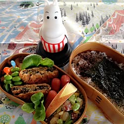 キッチン/ムーミン/ムーミン♡/ムーミンママのタイマー/娘のお弁当♡...などのインテリア実例 - 2015-04-04 08:12:57