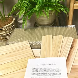 シダ植物/内装材大問屋/ウッドタイル/一人暮らし/中古マンション...などのインテリア実例 - 2017-07-10 21:27:46