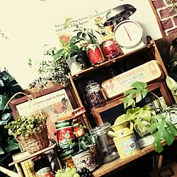 棚/DIY/フェイクグリーン/すのこ/観葉植物...などのインテリア実例 - 2016-04-08 18:12:52