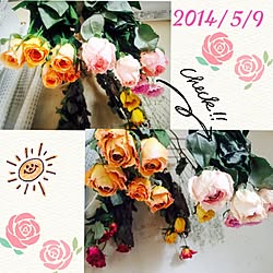 ベッド周り/薔薇/ドライフラワーのインテリア実例 - 2014-05-09 11:02:29