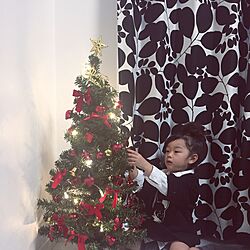 リビング/IKEA/クリスマス/照明のインテリア実例 - 2015-11-21 22:31:43