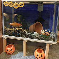 玄関/入り口/#金魚#金魚の水槽#ハロウィン/ハロウィンのインテリア実例 - 2017-09-27 05:31:23