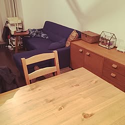 部屋全体/unico/IKEA/猫と暮らすのインテリア実例 - 2017-04-04 22:32:01
