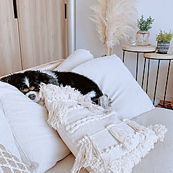 bohodecor/建売住宅/建売住宅でも快適生活/Boho Style/犬のいる暮らし...などのインテリア実例 - 2020-09-30 20:26:03