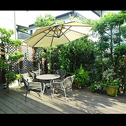 ウッドフェンス/アラカシ/庭/庭の緑/ガーデンテーブル...などのインテリア実例 - 2021-10-29 06:32:11