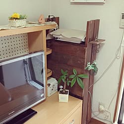 棚/観葉植物/DIY/旦那工務店/セリア...などのインテリア実例 - 2014-06-17 15:40:33