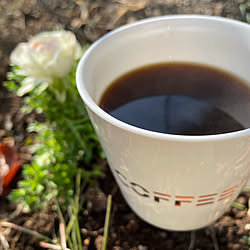 珈琲のある暮らし/コーヒータイム/モニター応募投稿/花のある暮らし/花のある生活...などのインテリア実例 - 2021-03-06 00:34:38