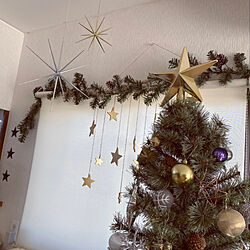 クリスマス/クリスマス2021/IKEA/クリスマスツリー/おうち時間を楽しく♪...などのインテリア実例 - 2021-12-02 13:58:54