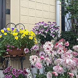 玄関/入り口/花のある暮らしのインテリア実例 - 2024-04-25 12:37:35