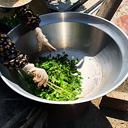 詳細はインスタにて/築350年以上の祖父母の家/田舎/お茶揉み/茶摘み...などのインテリア実例 - 2019-05-04 10:40:12