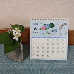 棚/カレンダー/6月/紫陽花/どくだみの花...などのインテリア実例 - 2021-06-01 18:45:26