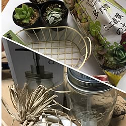 部屋全体/日替わり投稿企画!月曜日/買ったもの/多肉植物/雑貨のインテリア実例 - 2017-06-05 14:46:53