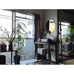 部屋全体/植物のある暮らし/夢の南向き/植物だらけ/ig→hitorururu...などのインテリア実例 - 2017-04-22 02:38:16