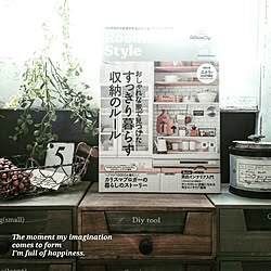 棚/ブログ更新しました╰(*´︶`*)╯/RoomClipStyle vol.5/ペンキ空き缶リメイク/いなざうるす屋さんフェイク...などのインテリア実例 - 2016-06-03 10:54:08