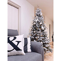リビング/クリスマスツリー210cm/クリスマス/IKEA/ニトリのインテリア実例 - 2020-11-17 11:15:21