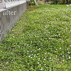 eくらしプロジェクト/山善くらしのeショップ/山善ガーデン部/山善園芸部/山善...などのインテリア実例 - 2021-07-21 17:52:40