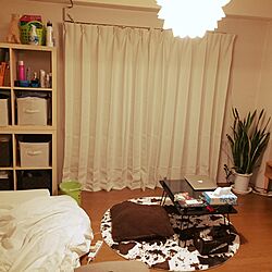 部屋全体/フランフランのラグ/IKEA/無印良品/北欧...などのインテリア実例 - 2017-02-06 17:00:04