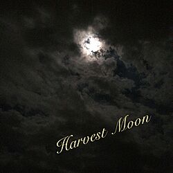 玄関/入り口/Harvest Moon/お月様/月/中秋の名月...などのインテリア実例 - 2015-09-28 08:45:11
