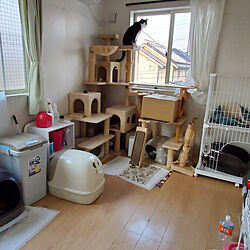 猫トイレ/ねこのいる日常/ニャンとも清潔トイレ/ねこと暮らす。/ニャンともと暮らす...などのインテリア実例 - 2020-04-10 15:12:06