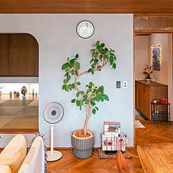 フィカス/Arne Jacobsen/Green Fan/扇風機/観葉植物のある暮らし...などのインテリア実例 - 2022-08-29 21:47:55