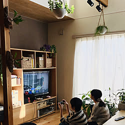 双子のいる生活/観葉植物/NO GREEN NO LIFE/まいほーむきろく*/ベッド周りのインテリア実例 - 2022-09-28 19:25:59