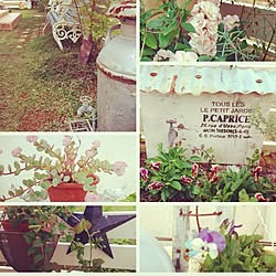 部屋全体/植物/garden/いつもありがとうございます♡のインテリア実例 - 2014-10-13 16:26:00