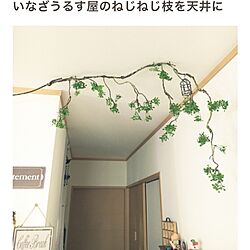 壁/天井のインテリア実例 - 2017-04-09 01:47:09
