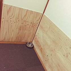 犬部屋/IKEAのインテリア実例 - 2017-01-26 09:23:26